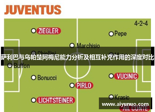 萨利巴与乌帕楚阿梅尼能力分析及相互补充作用的深度对比