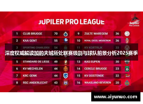 深度权威解读加的夫城所处联赛级别与球队前景分析2025赛季